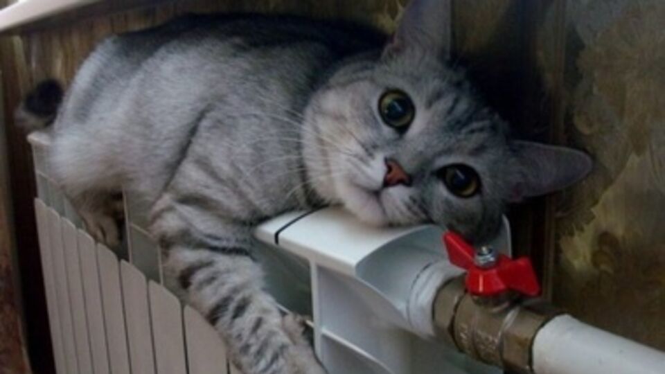 Первыми о старте отопительного сезона сообщили власти Харьковской области и Киева