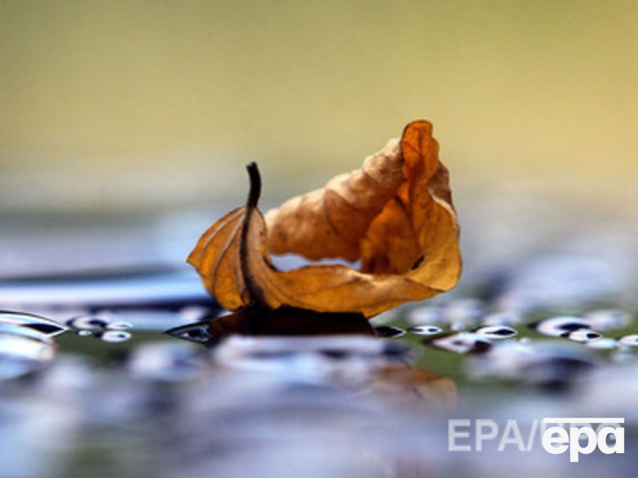 В Украину идут дожди