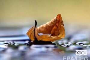 В Украину идут дожди