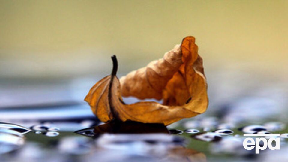 В Украину идут дожди