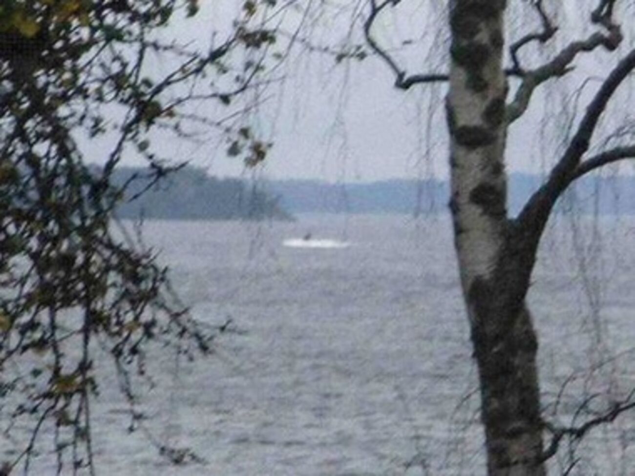 Фото, распространенное минобороны Швеции