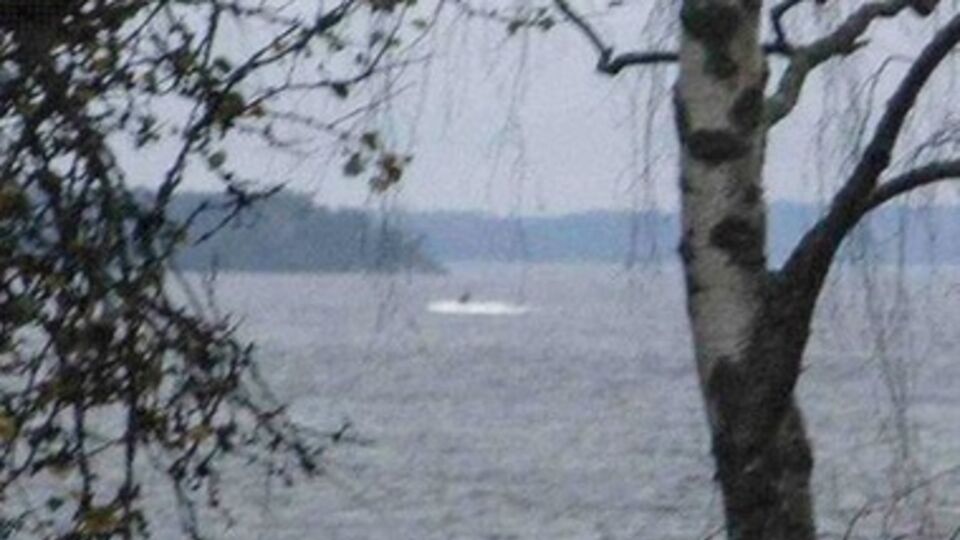 Фото, распространенное минобороны Швеции