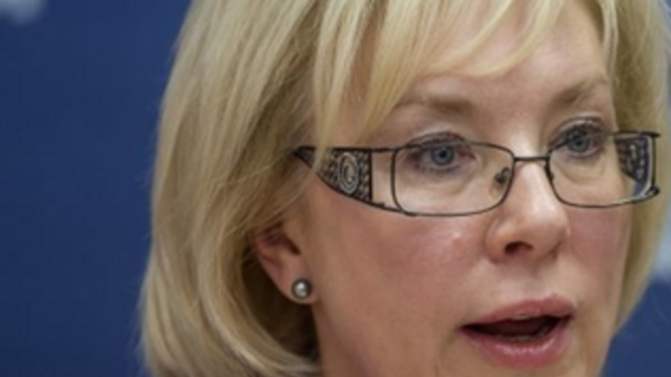 Желающих строить "Стену" будут платить, заявила Денисова