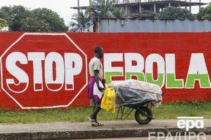 От вируса Эбола скончались почти 5 тысяч человек, заявили в ВОЗ