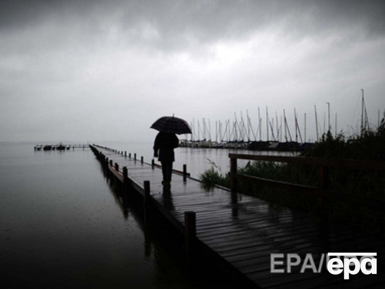 Зимнюю депрессию вызывает чрезмерное количество белка, к которому "вяжется" серотонин