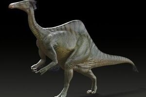 Ученые исследовали недавнюю находку