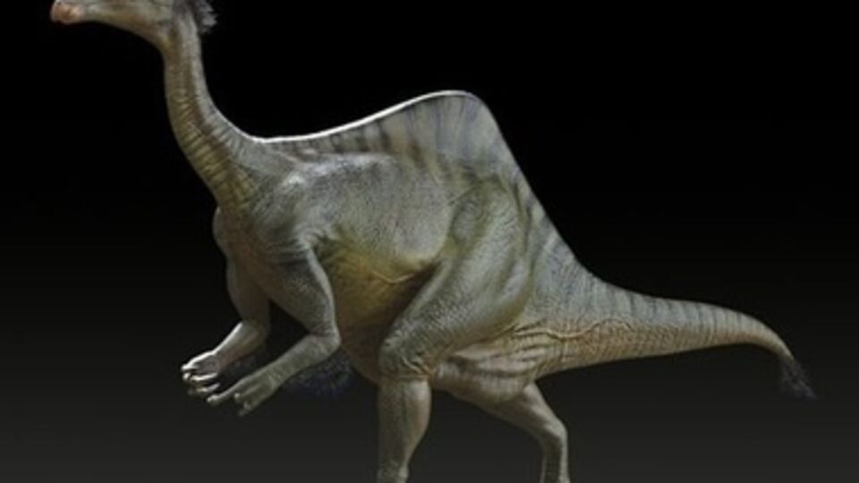 Ученые исследовали недавнюю находку