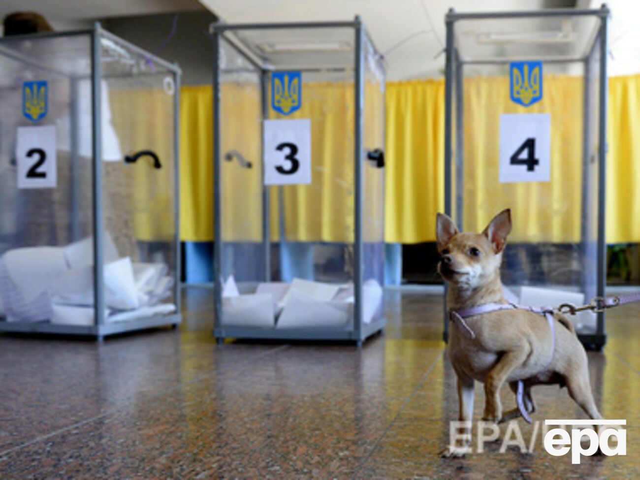 Россия намерена наблюдать за выборами в Украине