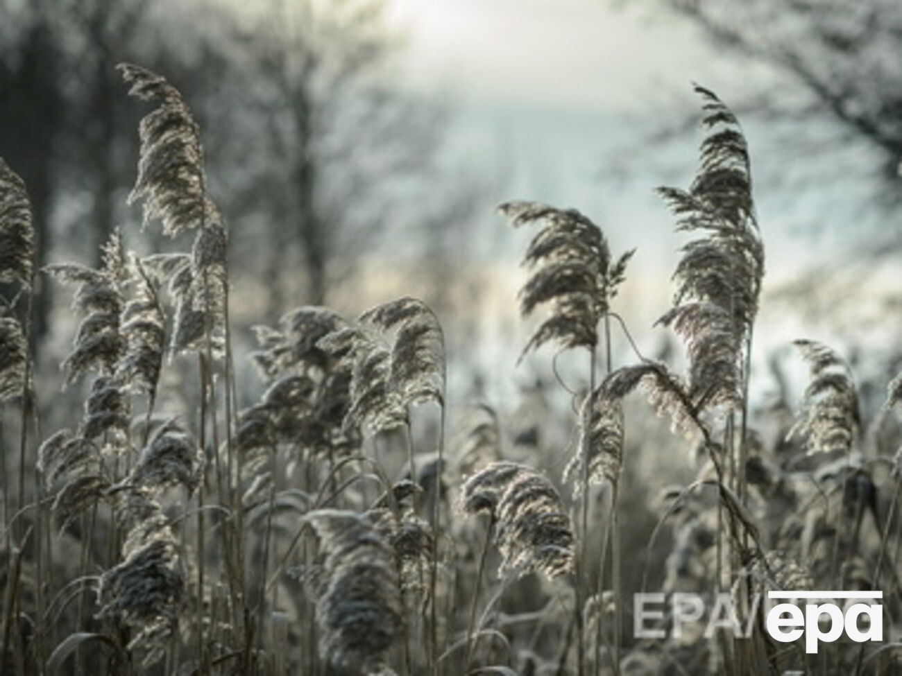 Зима приближается