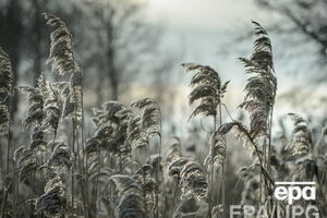 Зима приближается