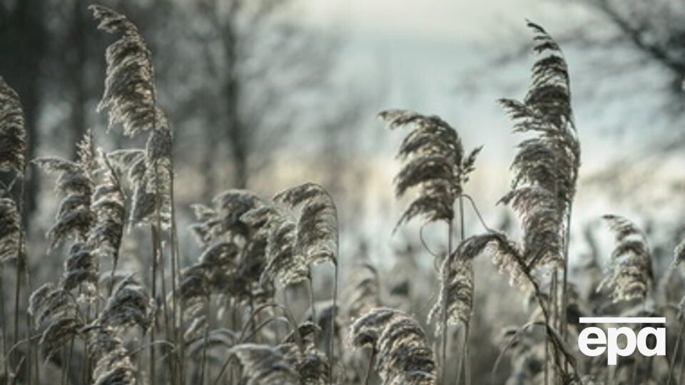 Зима приближается