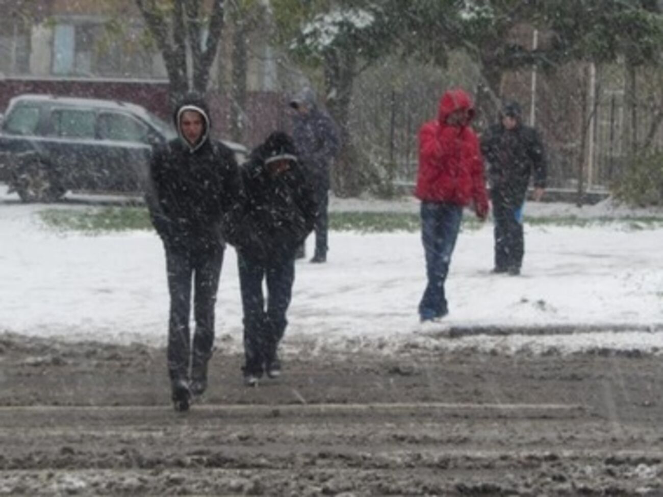 В Украину пришел снег