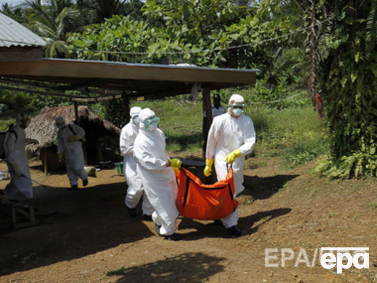 ВОЗ обещает вакцину от вируса Эбола через год