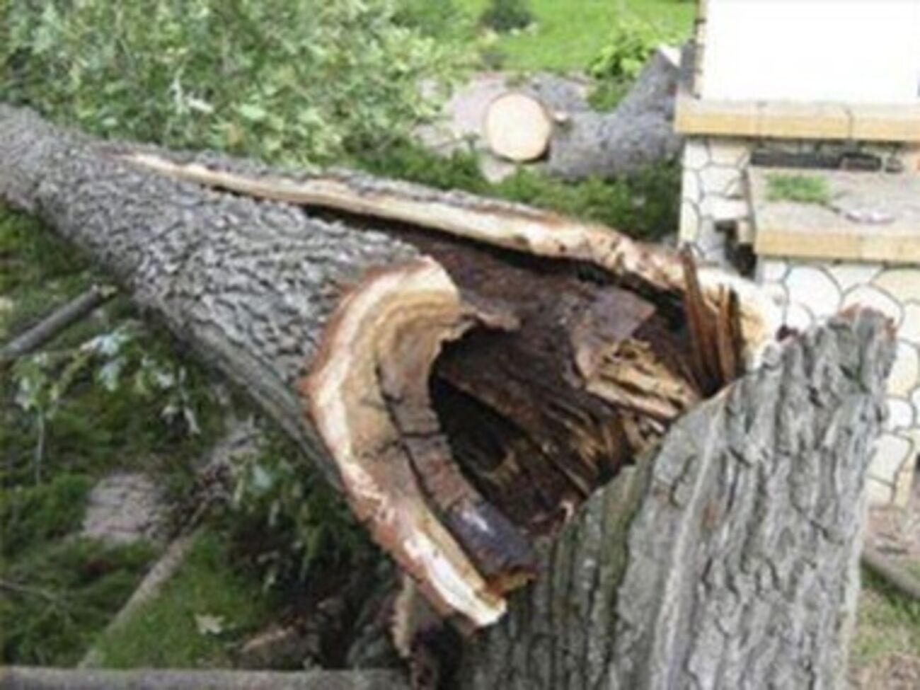 Упавшее на трубу дерево оставило без газа около 5,5 тысяч симферопольцев