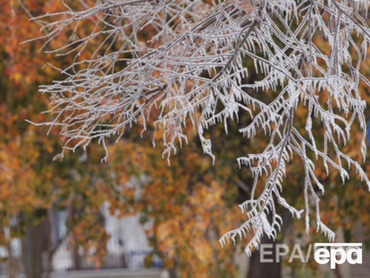 Сегодня днем возможны минимальные заморозки