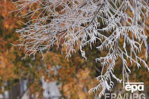 Сегодня днем возможны минимальные заморозки