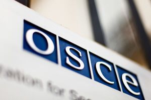 Наблюдатели отметили мирный характер волеизъявления