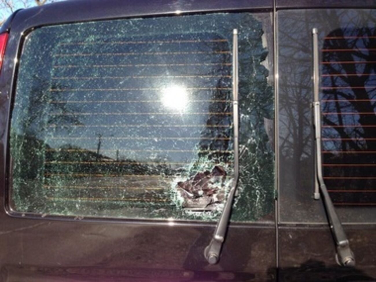В машине политических деятелей пробили несколько окон