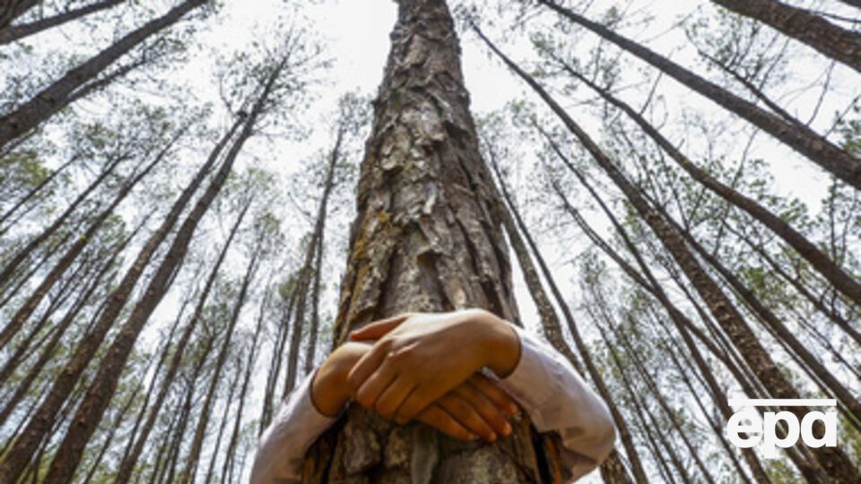 Земельные участки были незаконно переданы в частную собственность