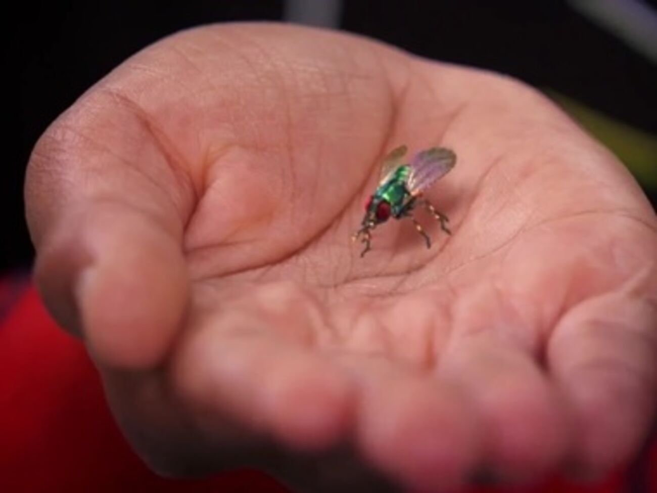 В Праге активно работают российские шпионы