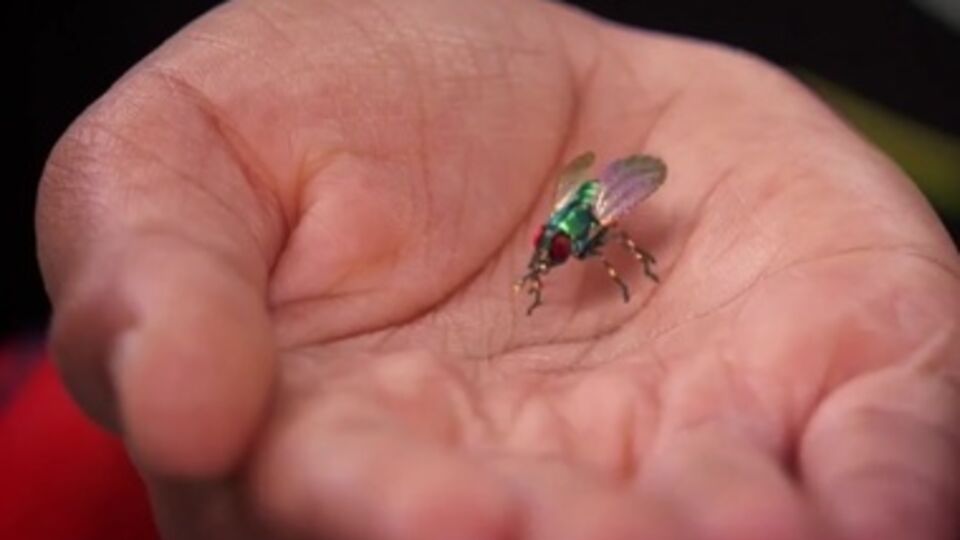 В Праге активно работают российские шпионы