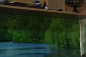 Косогор: Приедем, отберем и раздадим --- торговать и набивать карманы не получится