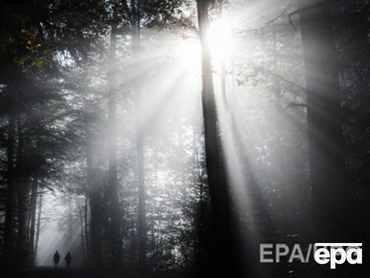 Регистрация земель на Януковича отменена