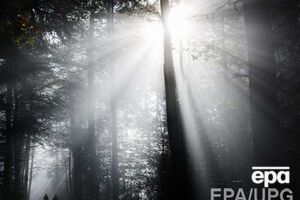 Регистрация земель на Януковича отменена