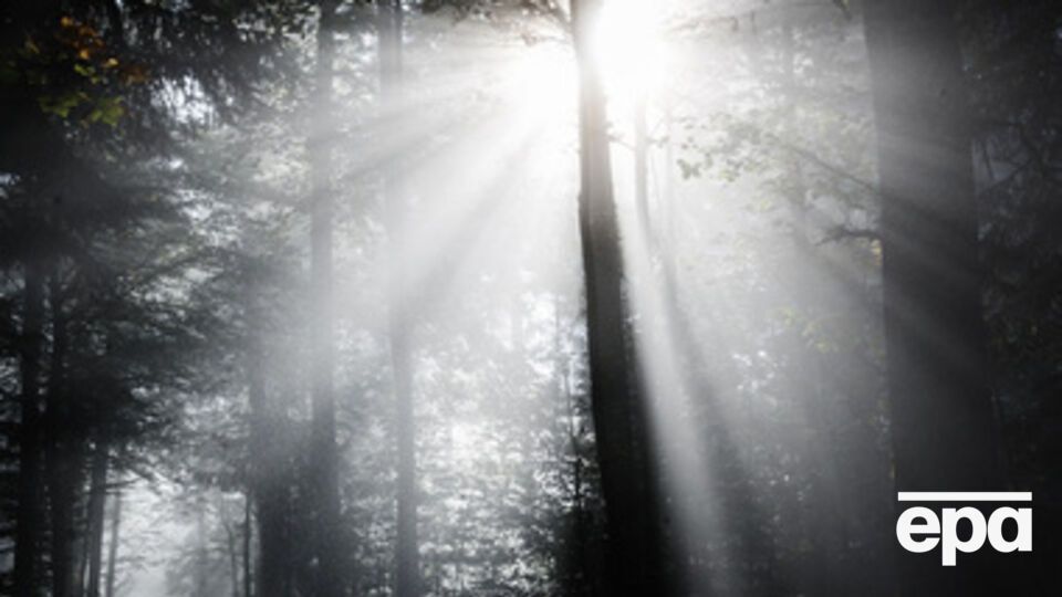 Регистрация земель на Януковича отменена