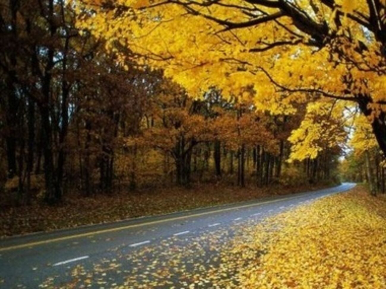 Сегодня будет без дождей