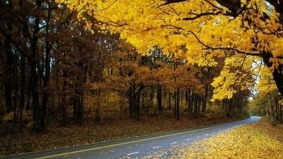 Сегодня будет без дождей