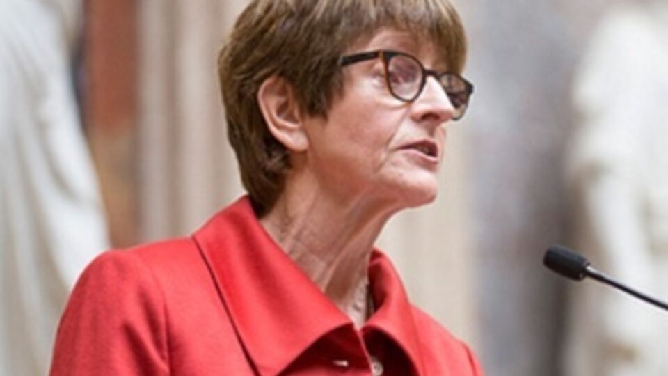 Брассер призвала террористов отменить "выборы"