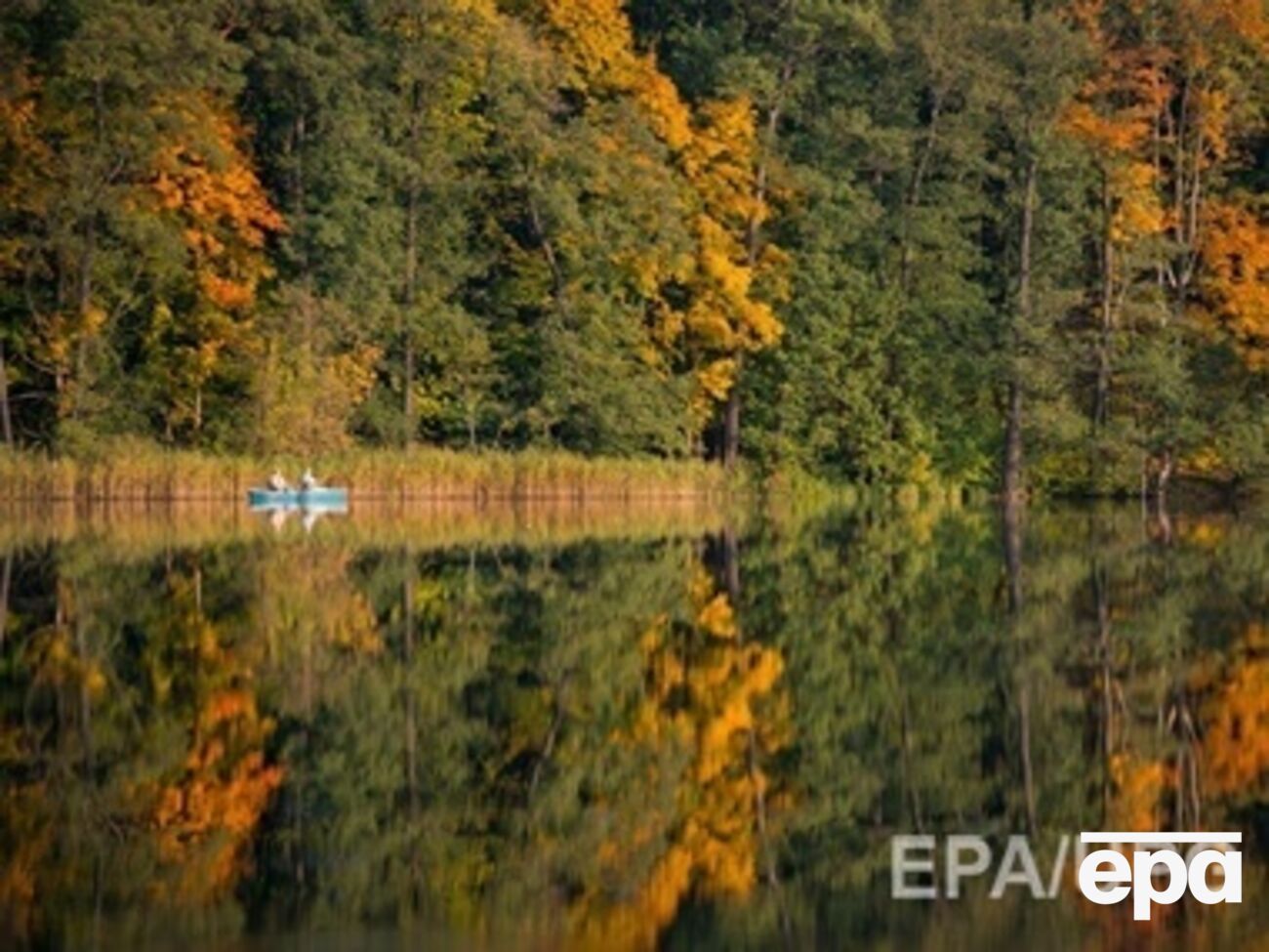 Ночью ожидаются заморозки