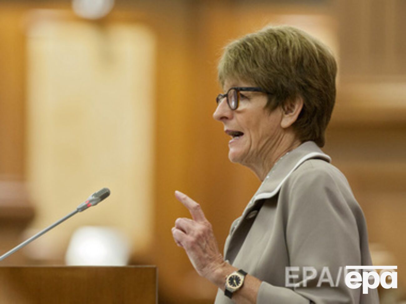 Анн Брассер заявила, что решение по России будет принято в январе следующего года