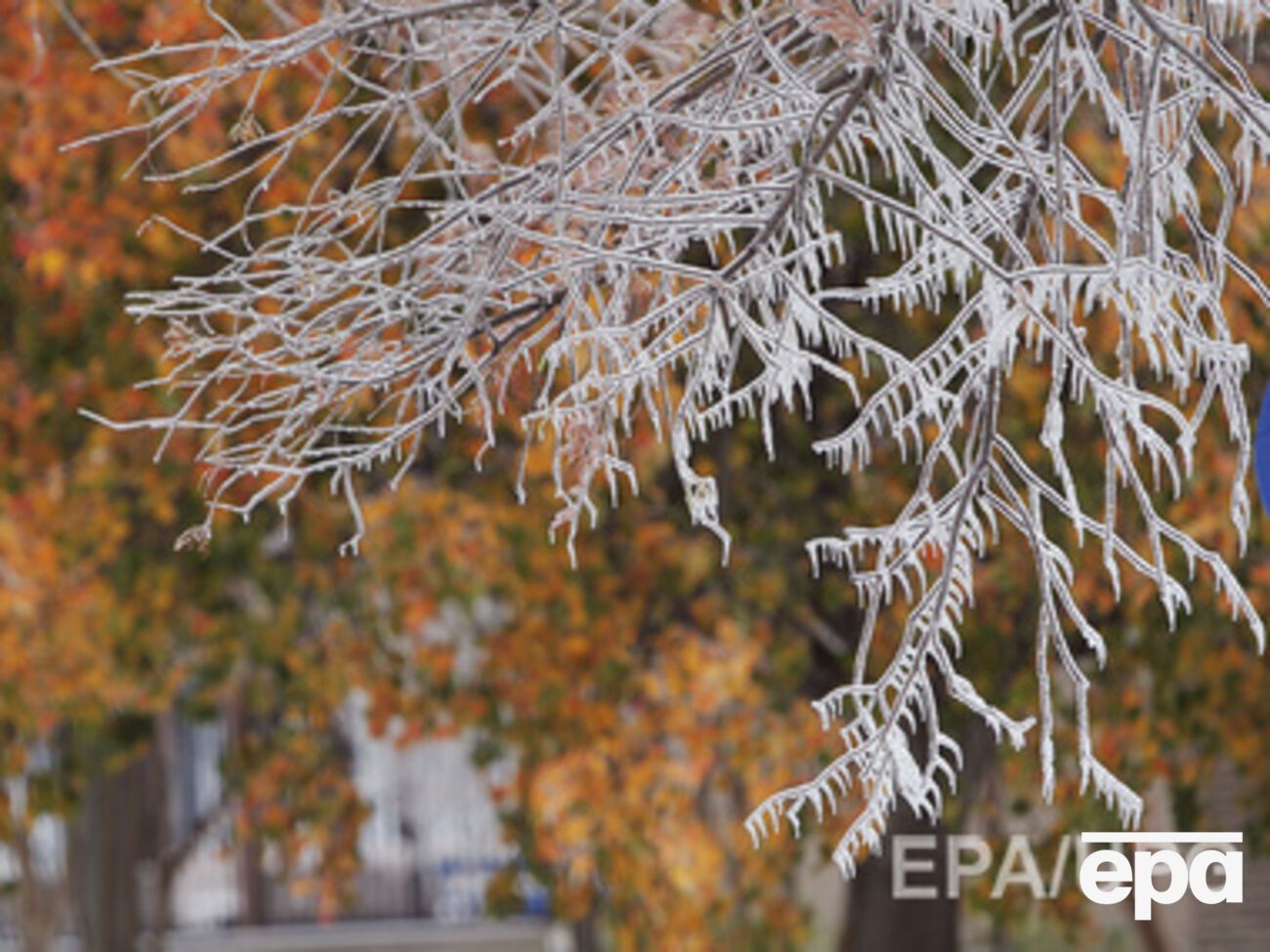Ожидаются заморозки