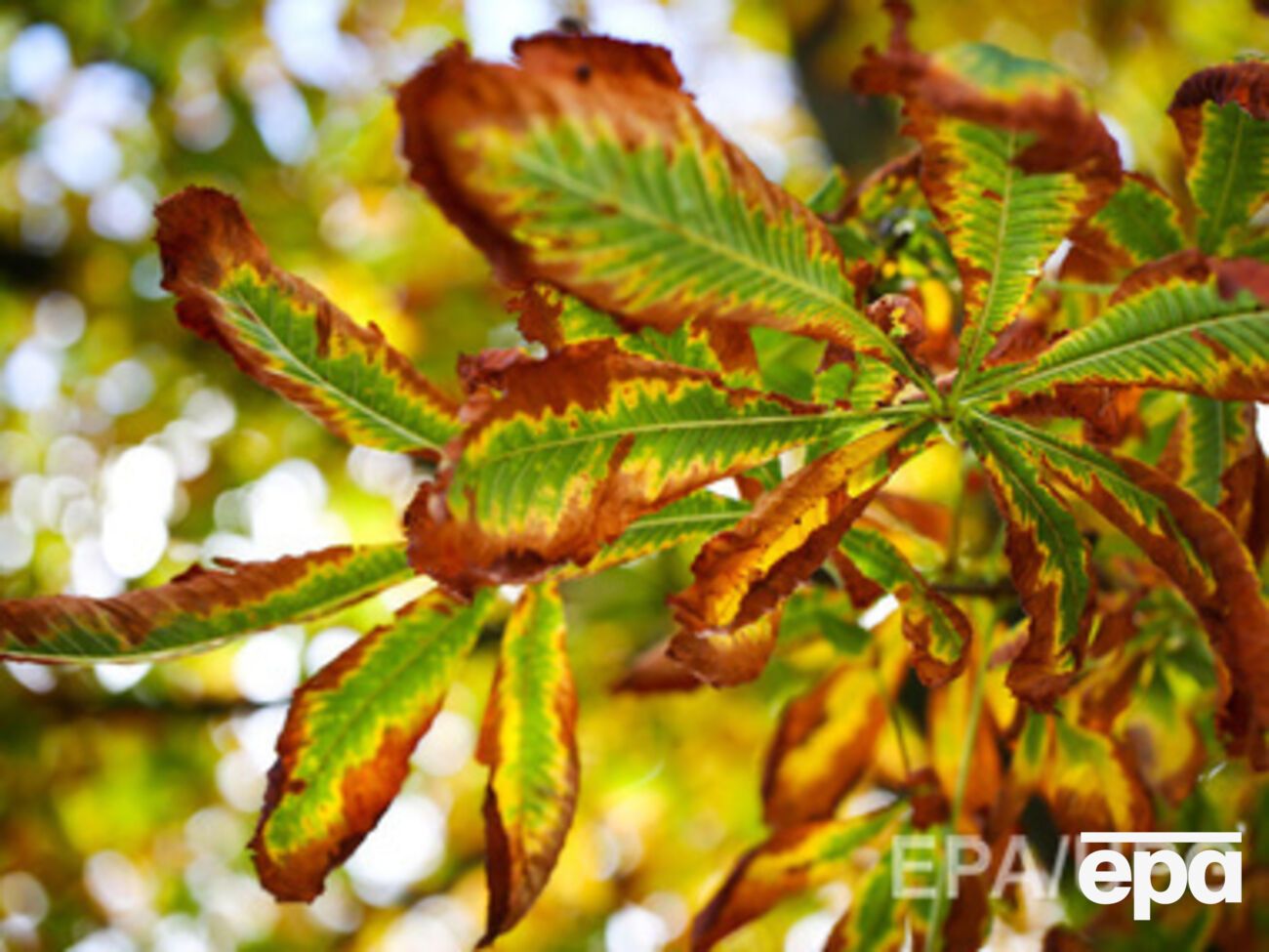 Гидрометцентр: На западе Украины температура воздуха поднимется до +20