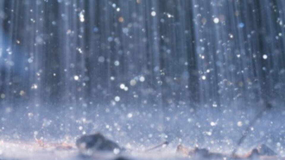 Нараев: У нас в Крыму все быстро делается