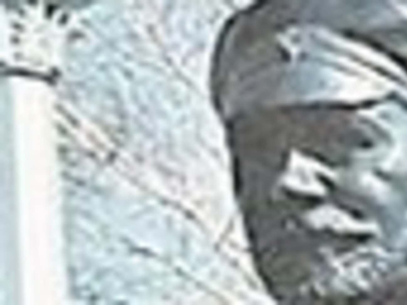 Статья и сообщение о материале в Facebook были удалены в течение дня