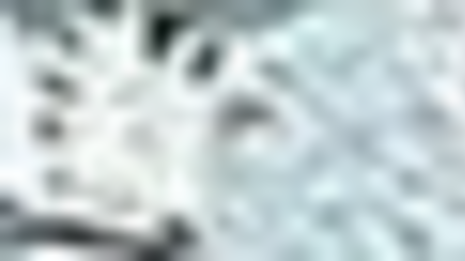 Статья и сообщение о материале в Facebook были удалены в течение дня