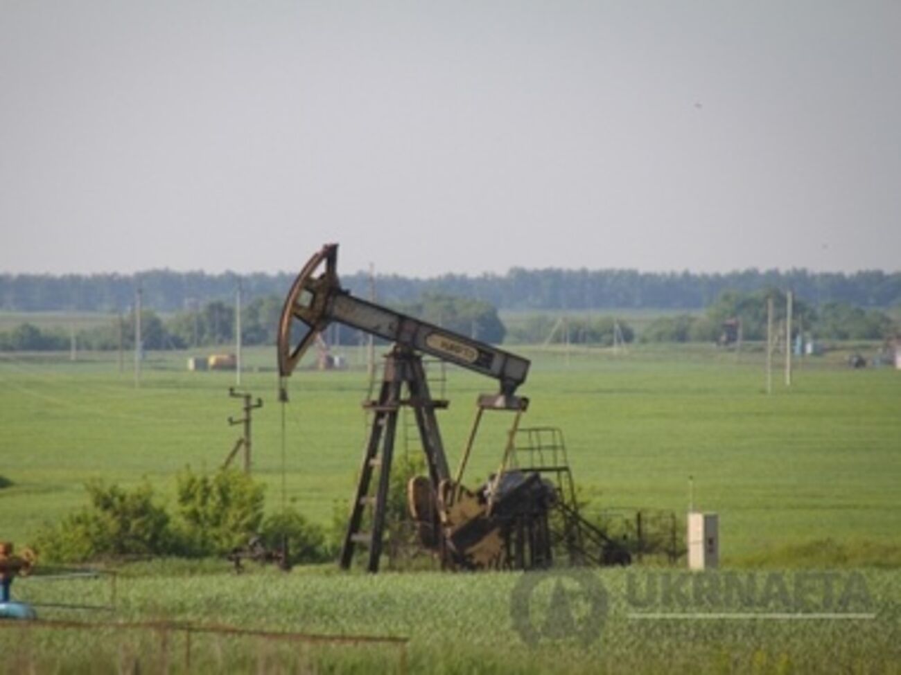 О сумме, на которую рассчитывает правительство, не сообщается