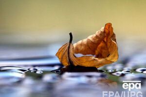 Температура воздуха снизится