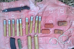 Изъятая взрывчатка была обезврежена