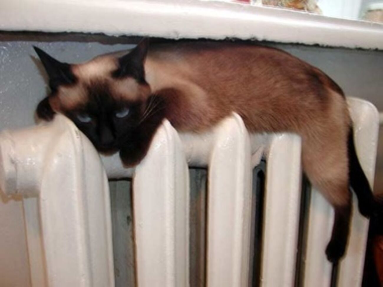 В Севастополе могут отключить тепло