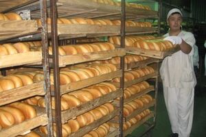 Крымские псевдовласти продолжают национализировать частную собственность на полуострове