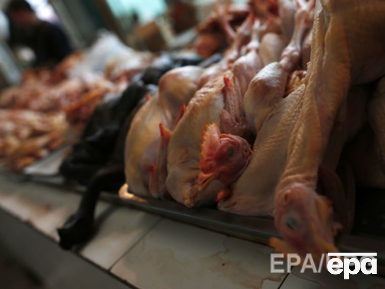 Российские власти продолжают блокировать поставки украинского продовольствия в Крым