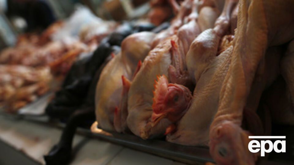 Российские власти продолжают блокировать поставки украинского продовольствия в Крым