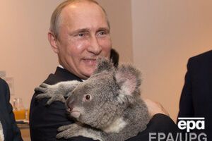 Владимир Путин: Работа наша здесь завершена, и завершена с успехом