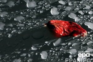 Сегодня возможны дожди и туманы