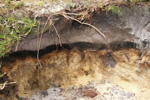 Оползни были вызваны дождями