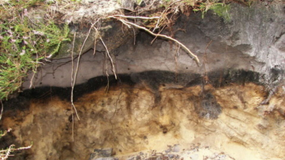 Оползни были вызваны дождями
